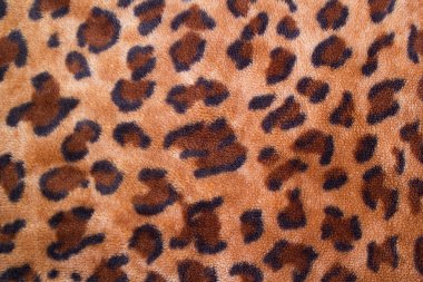 bir leopar boyama doku