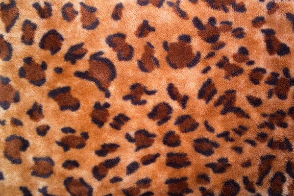 stock image Texture of a leopard colouring