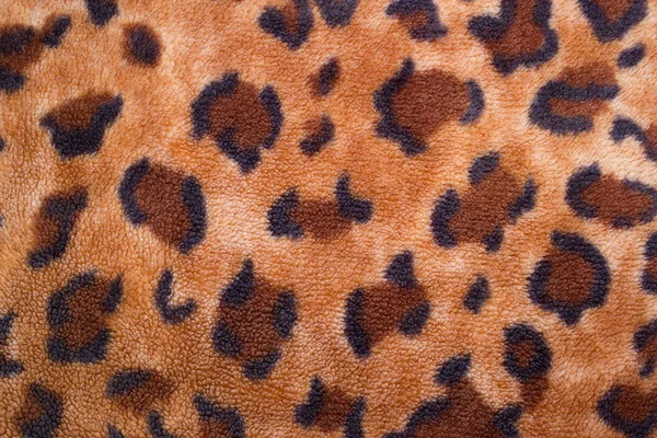 stock image Texture of a leopard colouring