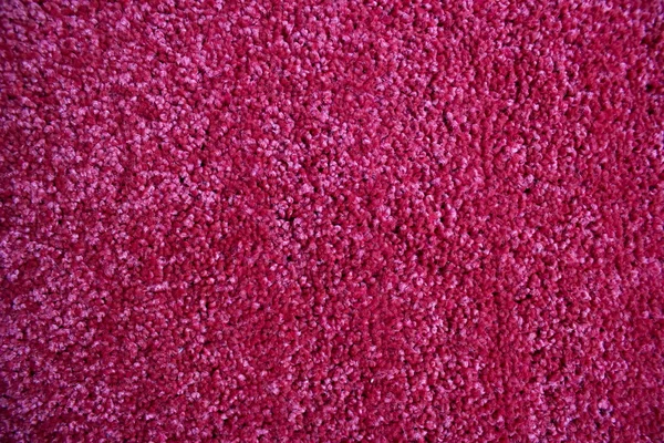 Sofa texture — Stock Photo, Image