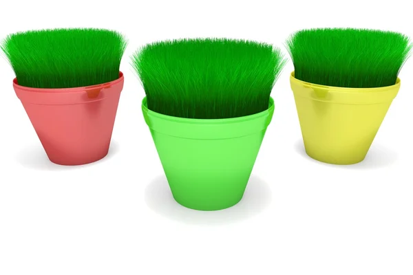 Pots with a growing grass — Stock Photo, Image