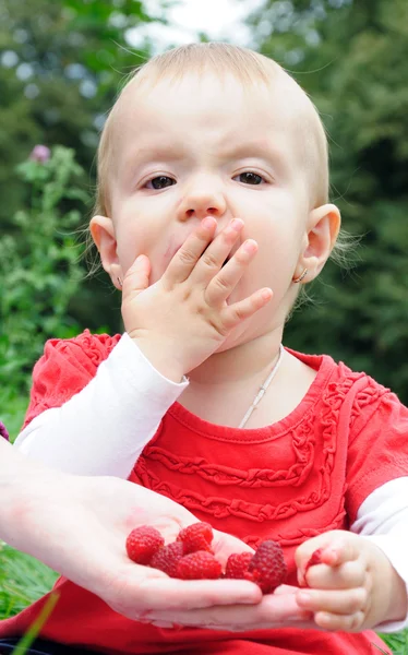 Year-old girl eating raspberries — Stock Photo, Image