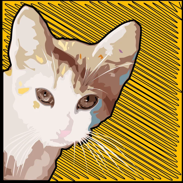 Grunge cat background — Stock Photo, Image