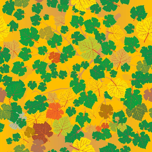 Vzorek podzimních listů — Stock fotografie