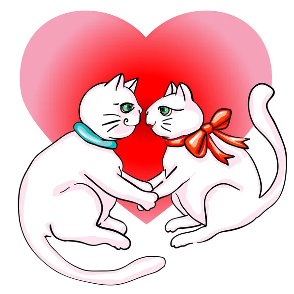 Cute cats valentine s day — Stock Photo, Image