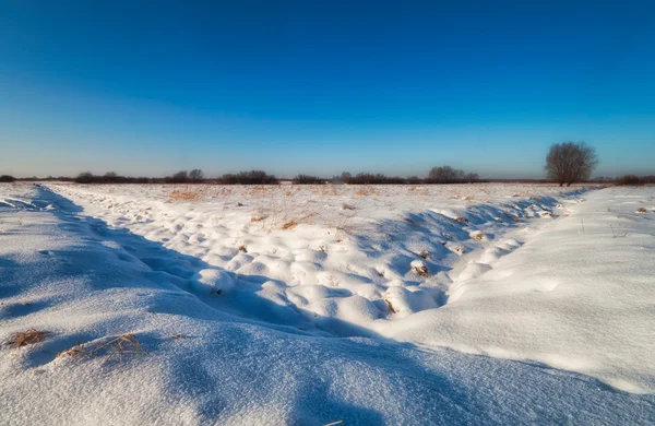 Winterlandschaft auf dem Feld — Stockfoto