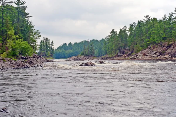 Französischer Fluss, Ontario, Kanada — Stockfoto