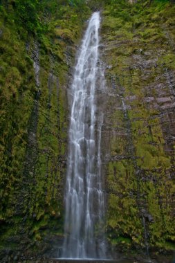 maui hawaii waimoku düşer