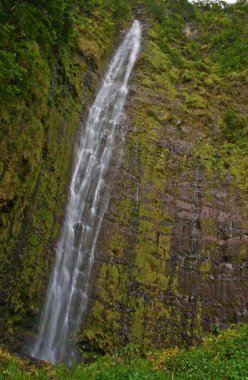 maui hawaii waimoku düşer