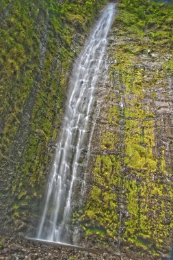 maui hawaii waimoku düşer