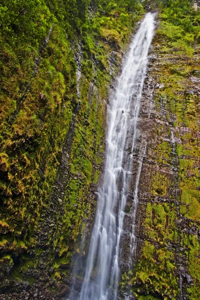 Waimoku Falls em Maui Havaí — Fotografia de Stock