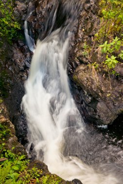 Waterfall in the Heleakala National Park in Hawai clipart