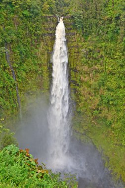 Akaka Falls, Big Island, Hawaii clipart