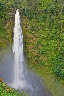 Akaka Şelaleleri, Büyük Ada, Hawaii