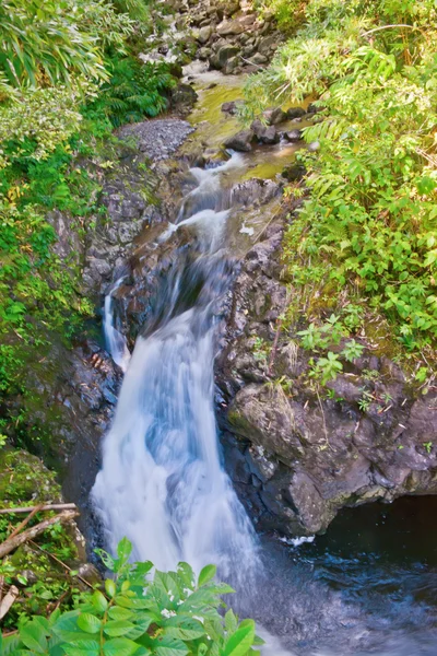 Vattenfall i heleakala national park i hawai — Stockfoto