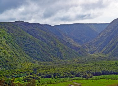 polulu Vadisi üzerinde Hawaii büyük ada