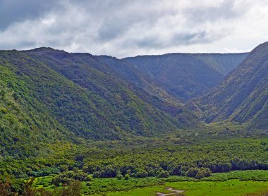 Polulu Valley on Big Island in Hawaii clipart