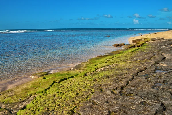 Гавайский пляж Кауаи — стоковое фото