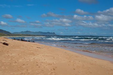 kauai Adası hawaii plajda