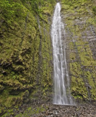 Waimoku Falls in Maui Hawaii clipart