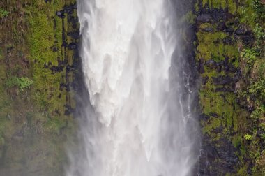 Akaka Şelaleleri, Büyük Ada, Hawaii