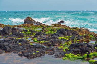 hawaii Adaları Maui kıyı şeridi lava rocks