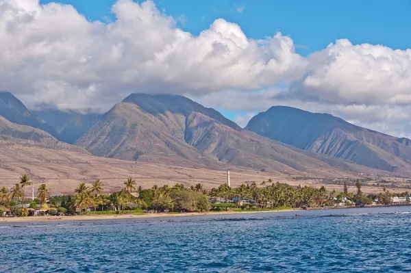 Wybrzeżu Maui — Zdjęcie stockowe