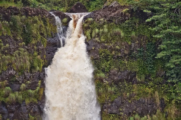 Akaka Falls, Big Island, Hawaii — Stock Photo, Image