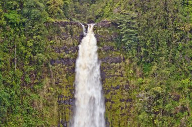 Akaka Şelaleleri, Büyük Ada, Hawaii