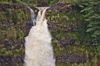 Akaka Şelaleleri, Büyük Ada, Hawaii