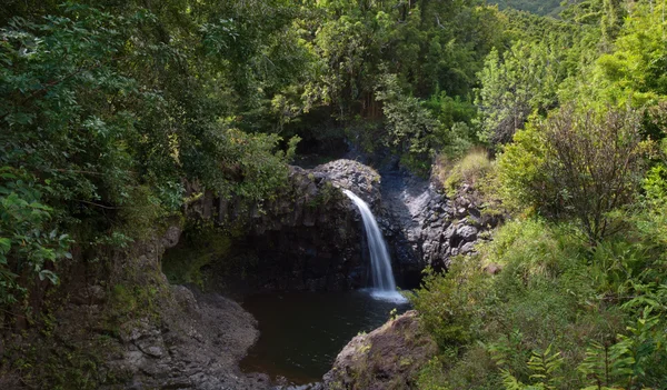 stock image Waterfall just off the road to Hana