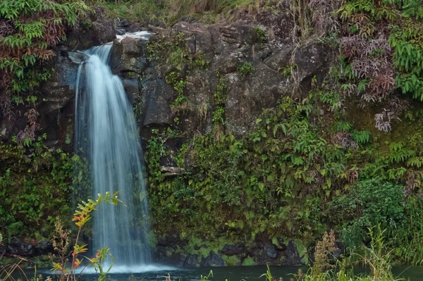 Maui wodospad przy drodze do hana — Zdjęcie stockowe