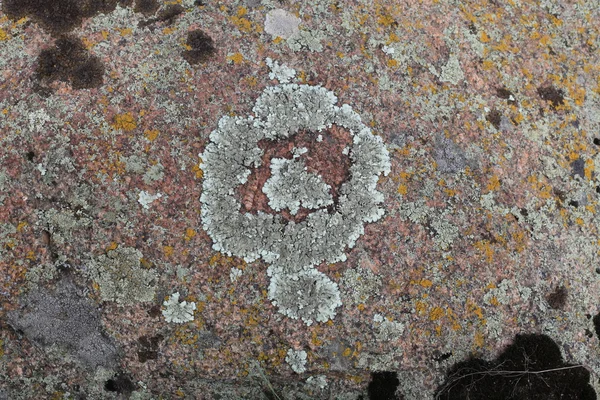 화강암에 이끼의 배경 — 스톡 사진