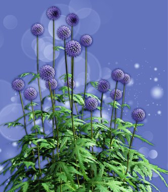 Globe Thistles clipart