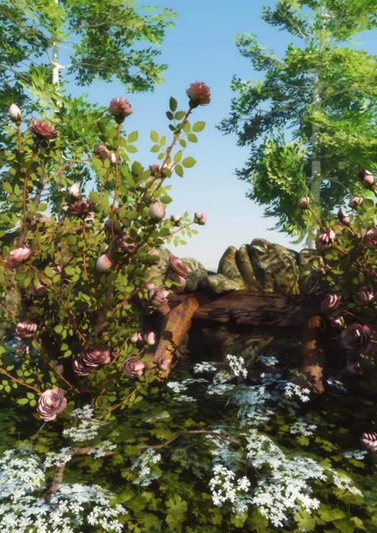 Дикий розовый сад — стоковое фото