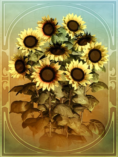 stock image Sunflowers