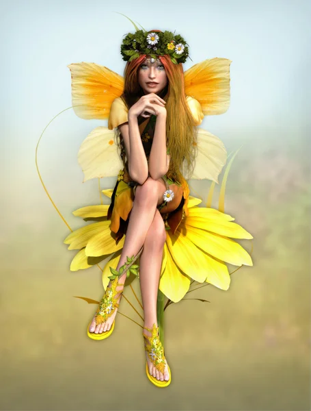 Amarelo Daisy Fay — Fotografia de Stock