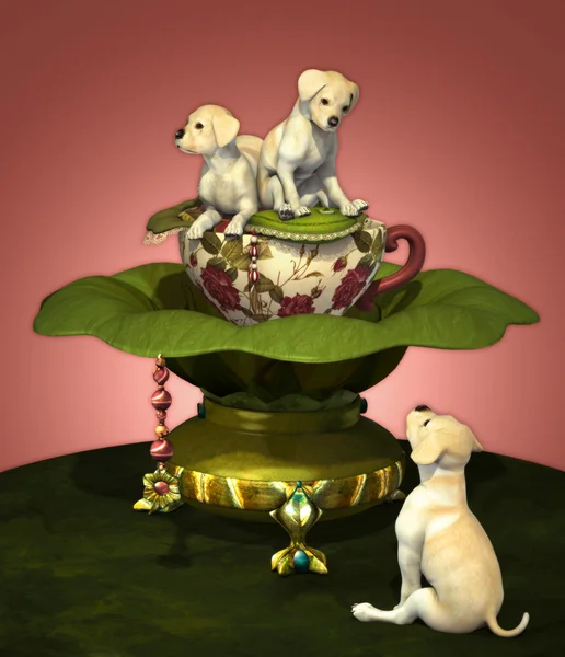 Labrador Puppies — Stock Photo, Image