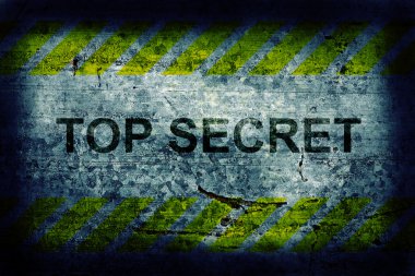 metin veya resim için alanı olan grunge arkaplanı