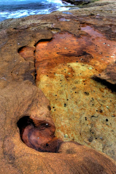 Πέτρες στη θάλασσα στο ηλιοβασίλεμα - Σίδνεϊ της Αυστραλίας — Φωτογραφία Αρχείου