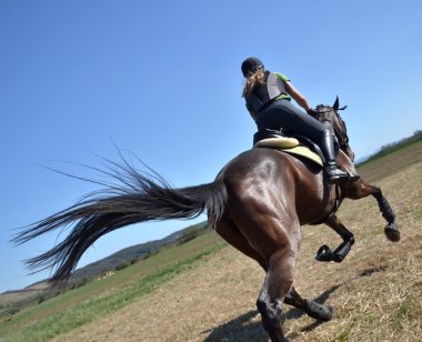 Rider in jumping show clipart