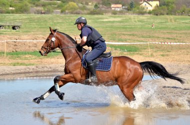 Rider in jumping show clipart