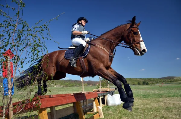 Rider w skoki pokazać wojskowych — Zdjęcie stockowe