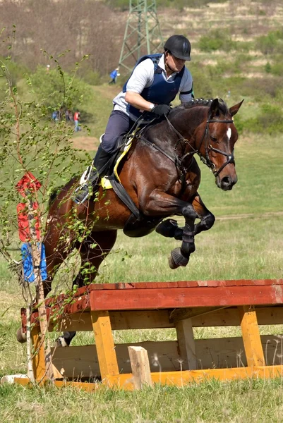 Cavaleiro no show de salto militar — Fotografia de Stock