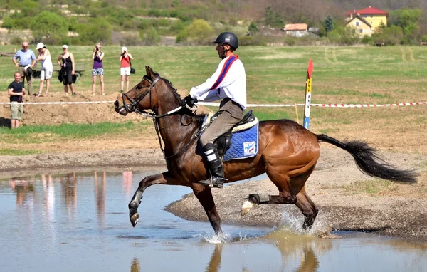 stock image Rider in the jumping show military