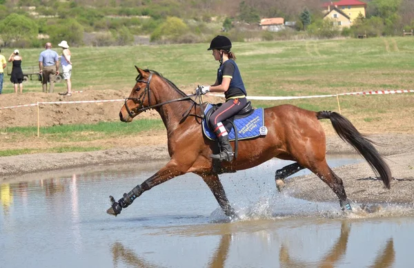 Rider in the jumping show military — Stock Photo, Image