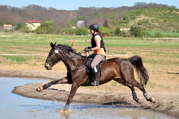 Rider fälttävlan häst rättegång — Stockfoto