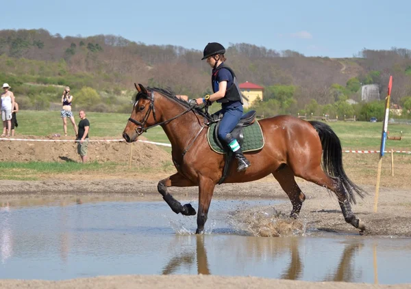 Cavalier en concours complet de chevaux — Photo