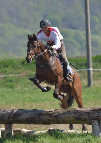 Jinete prueba de caballos eventing —  Fotos de Stock