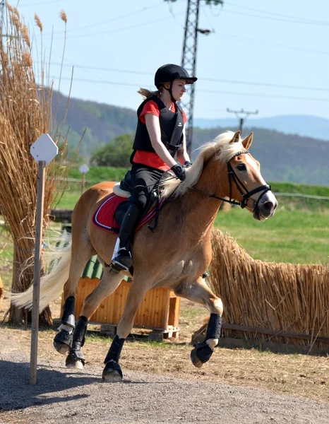 Rider fälttävlan häst rättegång — Stockfoto